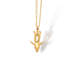 Cadena con cabeza de antílope vista frontal