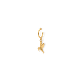 Candonga pequeña con colibrí vista frontal