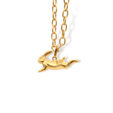 Cadena con liebre saltando vista cercana