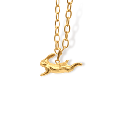 Cadena con liebre saltando vista cercana