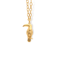 Cadena con tucán vista frontal