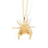 Cadena de mosca grande vista cercana