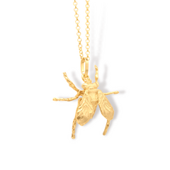 Cadena de mosca grande vista lateral