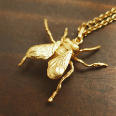 Cadena de mosca grande vista detallada