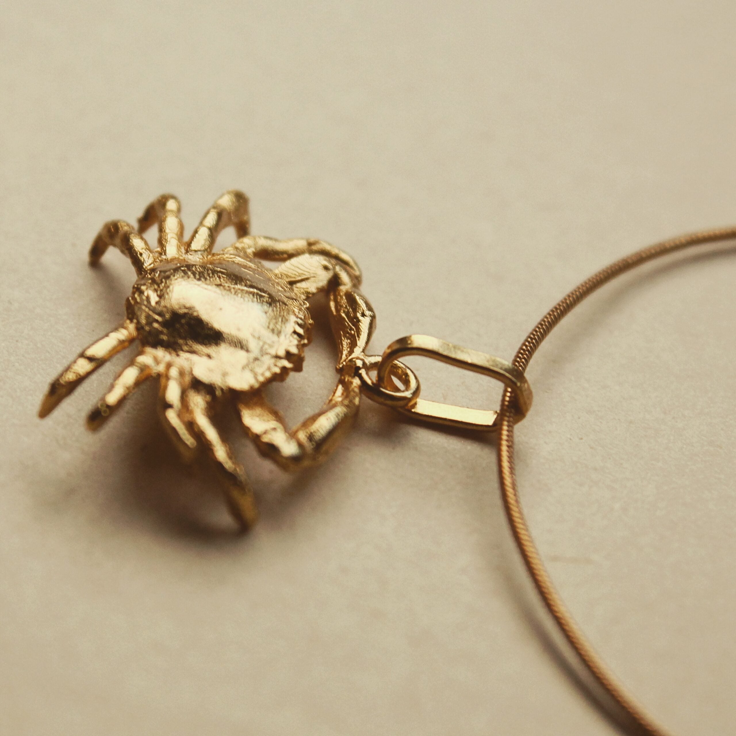 Cadena con cangrejo vista detallada Brezo Jewelry