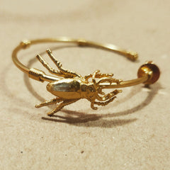 Candongas grandes con escarabajo pequeño vista detallada