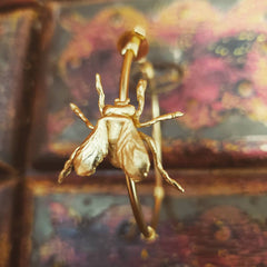 Candongas grandes con mosca pequeña vista cercana