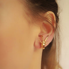 Aretes de antílope vista real