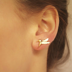 Arete de colibrí pequeño vista real