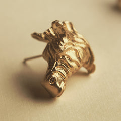 Aretes de cebra vista detallada