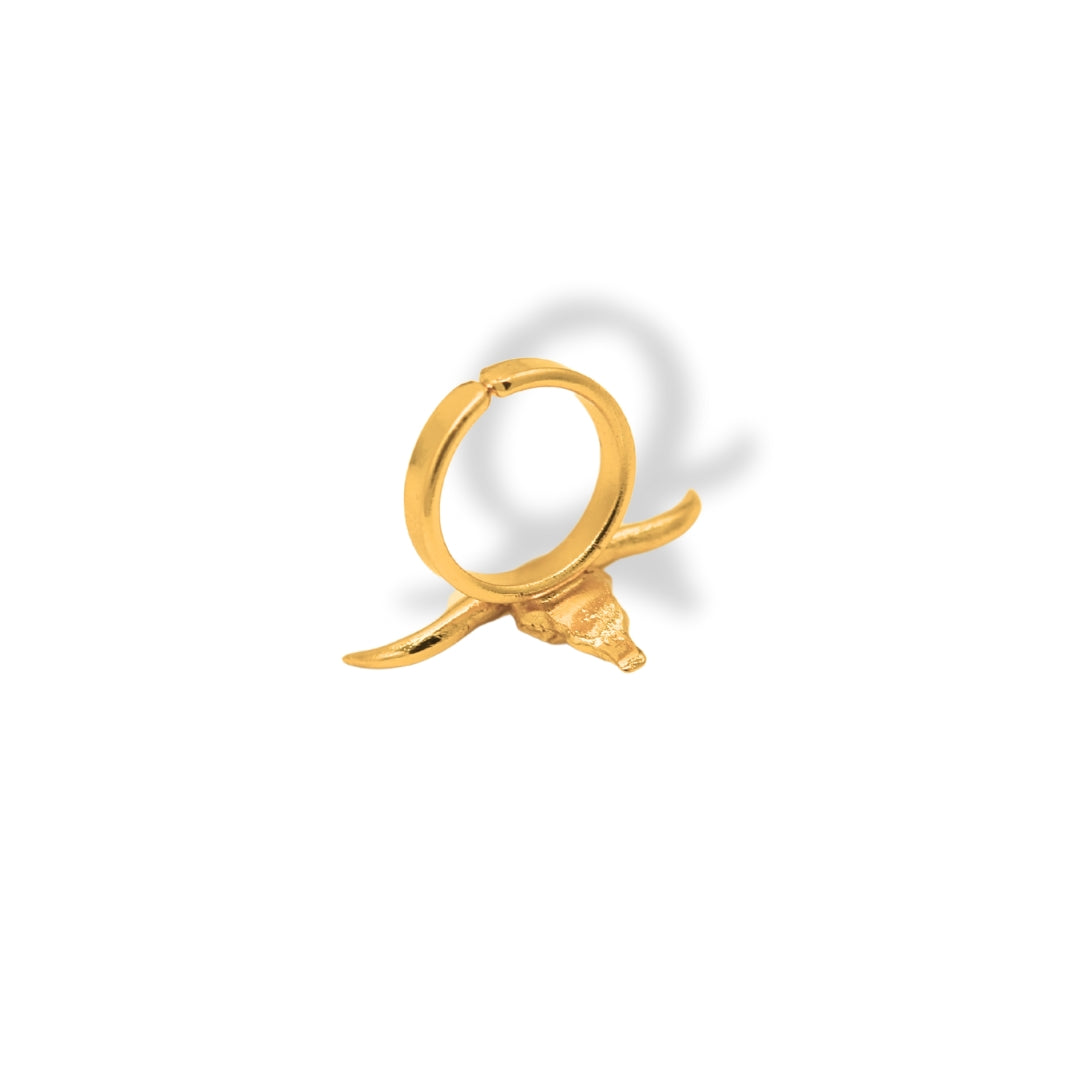 Anillo con cráneo bovino grande