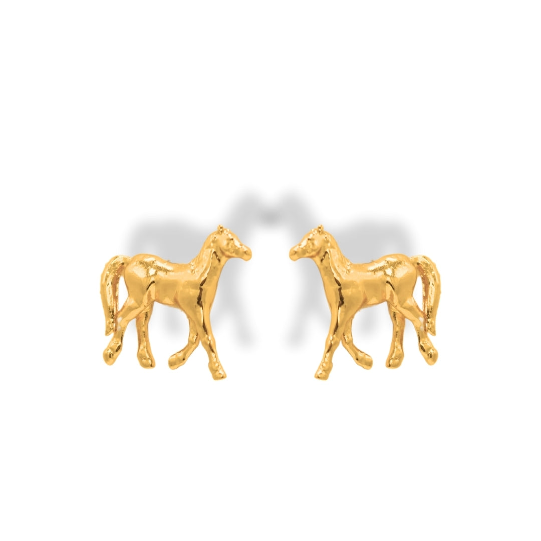 Aretes de caballo