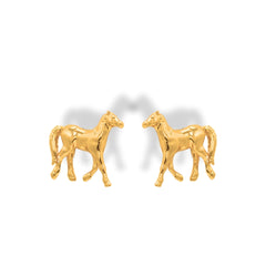 Aretes de caballo