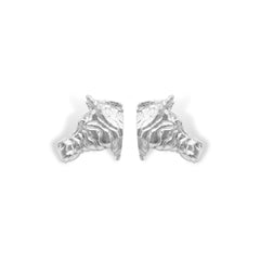Aretes de cebra