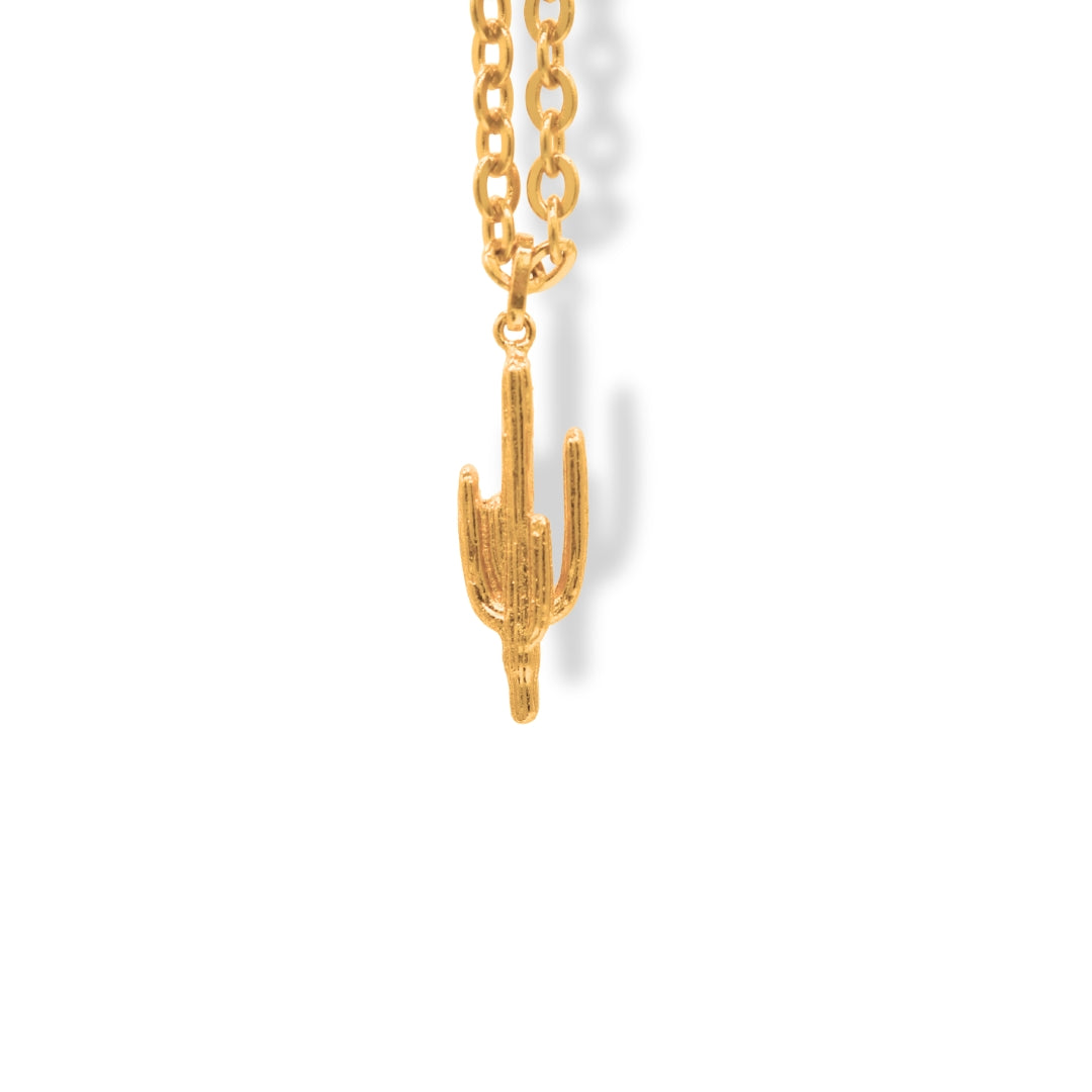 Cadena con cactus grande