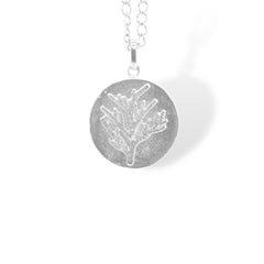 Cadena de conífera plateada