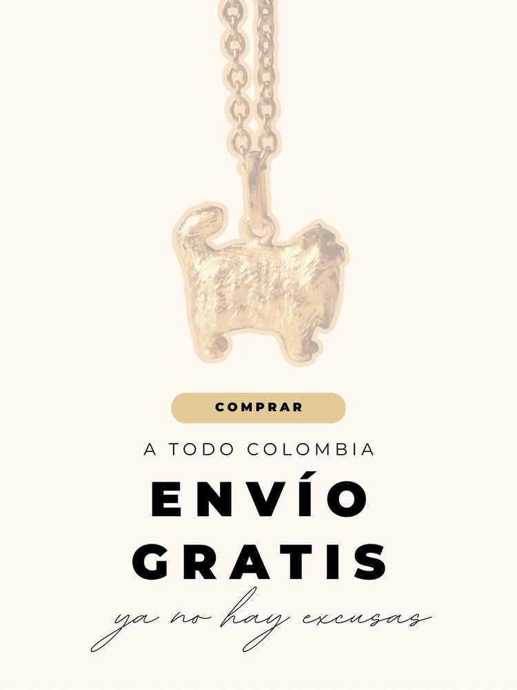 Envío GRATIS en toda la tienda