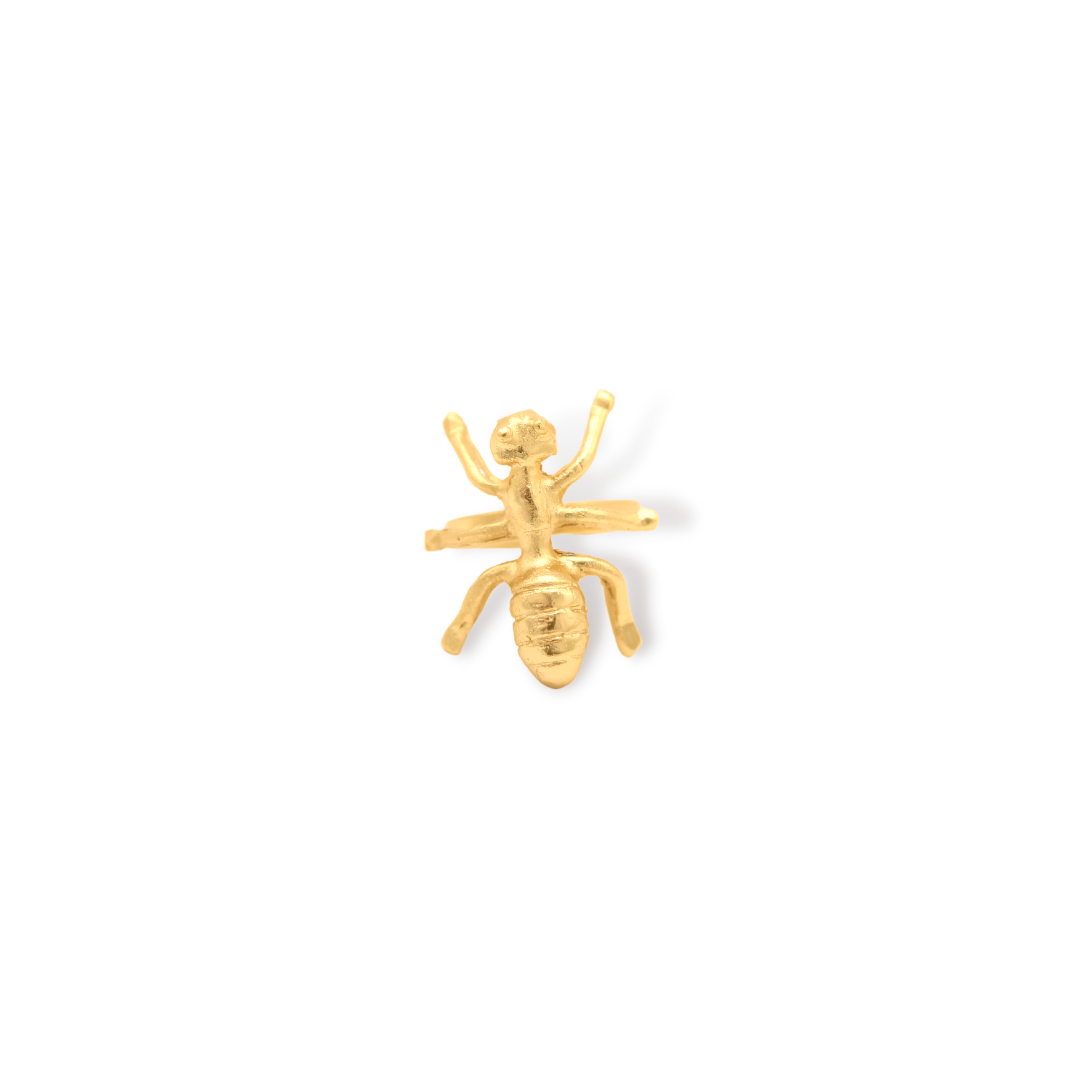 Anillo de hormiga pequeña