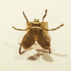 Anillo de mosca grande vista frontal