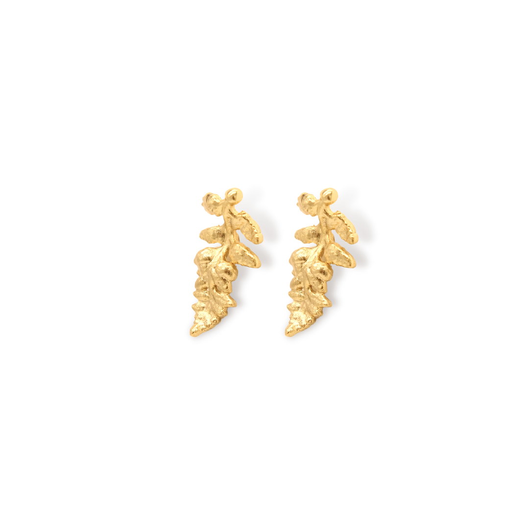 Aretes de helecho vista lateral