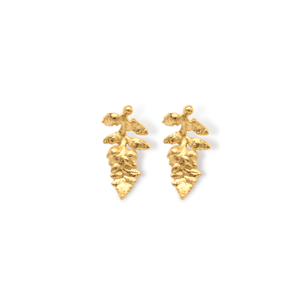 Aretes de helecho vista frontal