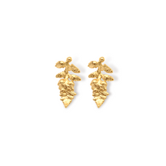Aretes de helecho vista frontal