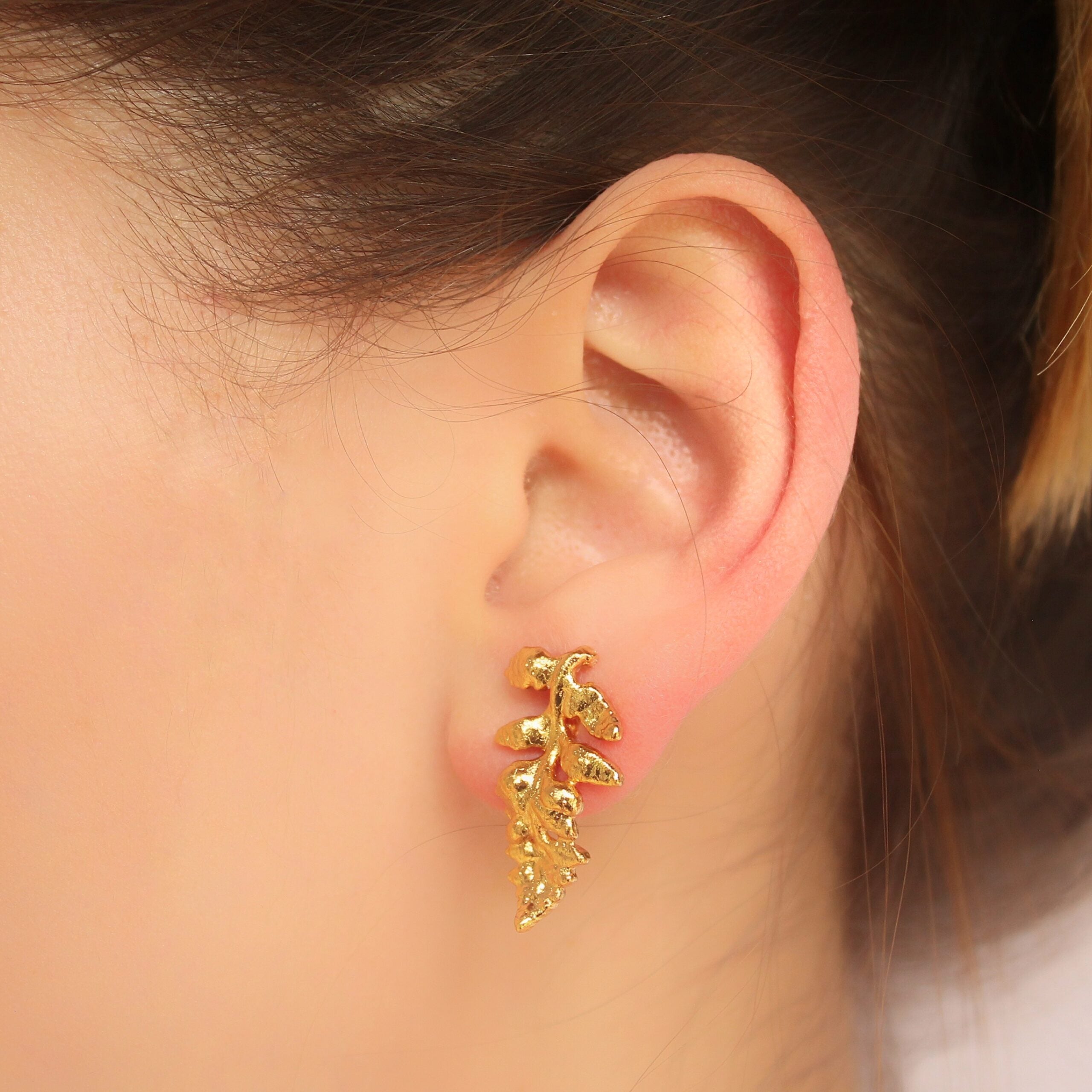 Aretes de helecho vista real