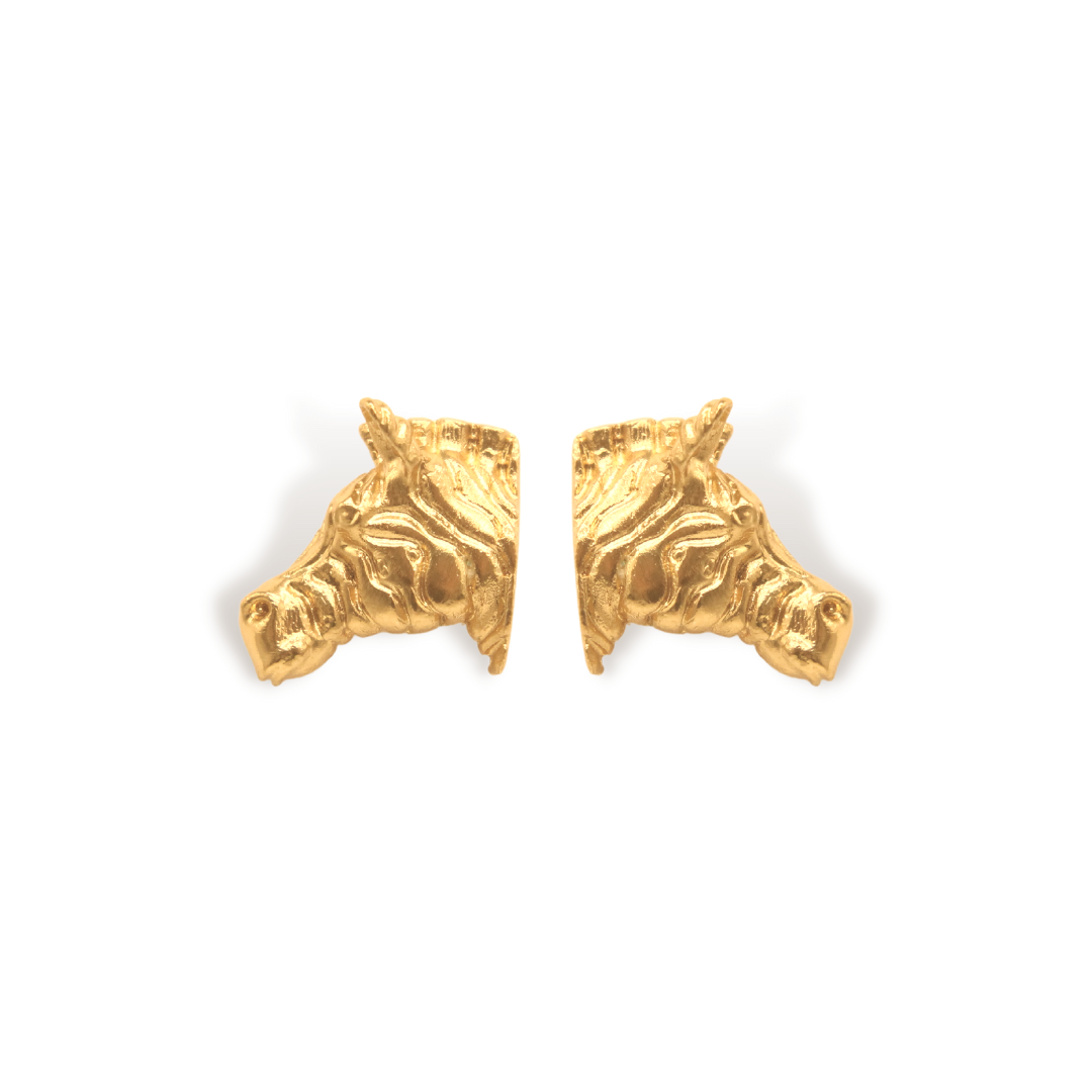 Aretes de cebra vista frontal