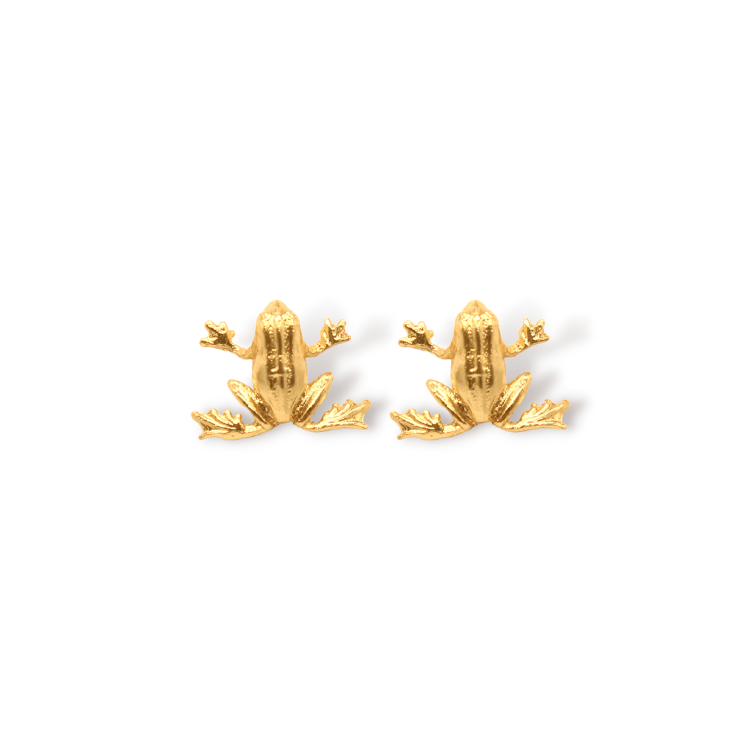 Aretes de rana pequeña vista frontal