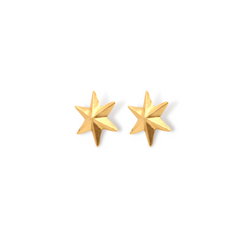 Aretes de estrella pequeña vista lateral