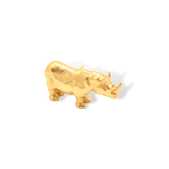 Pin rinoceronte vista frontal