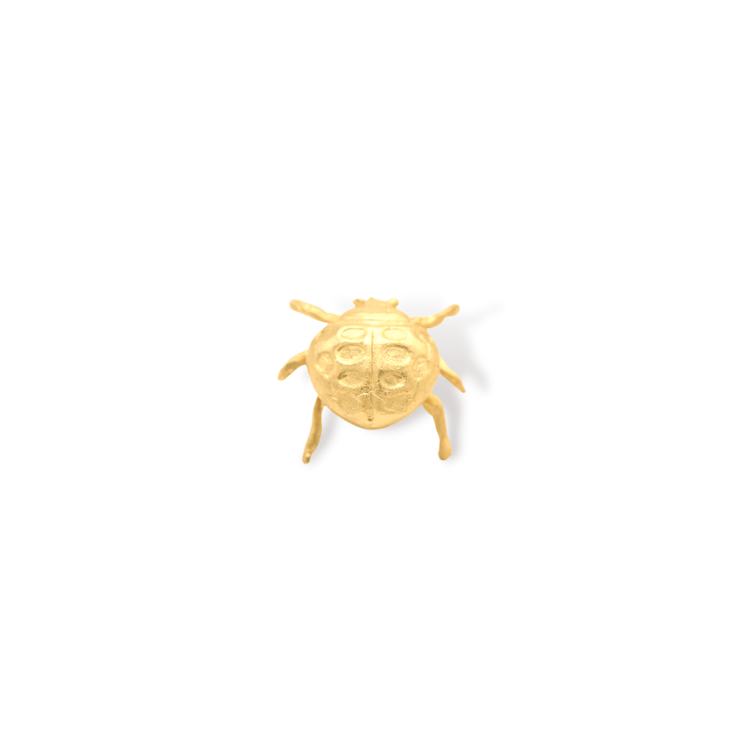 Pin mariquita vista frontal Brezo Jewelry